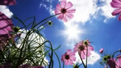 Zakon.kz, фото - Новости Zakon.kz от 01.06.2015 12:50