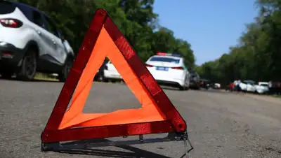 Павлодарская область, наезд, погибший, пострадавший, ДП, фото - Новости Zakon.kz от 30.05.2022 10:28