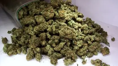 Zakon.kz, фото - Новости Zakon.kz от 11.06.2016 03:00