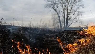 Zakon.kz, фото - Новости Zakon.kz от 27.07.2015 15:33