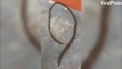 Zakon.kz, фото - Новости Zakon.kz от 28.04.2017 22:23