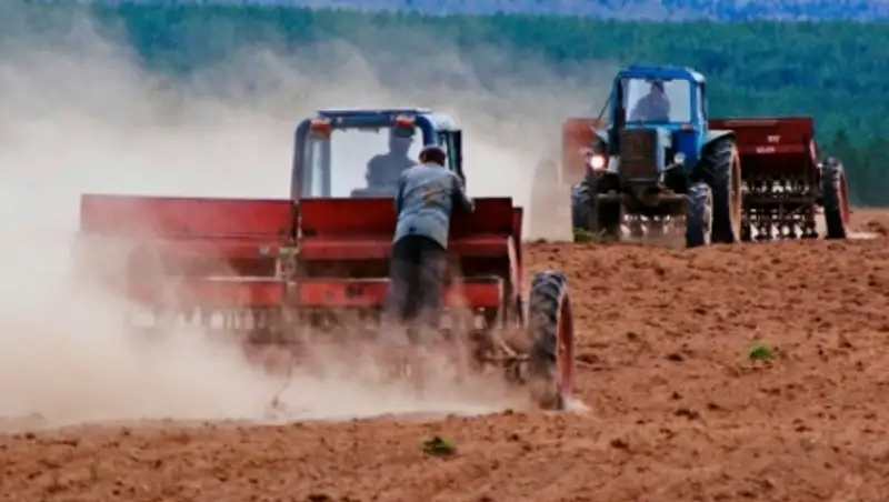 В ВКО аграрии планируют засеять около 1,5 млн гектаров полей