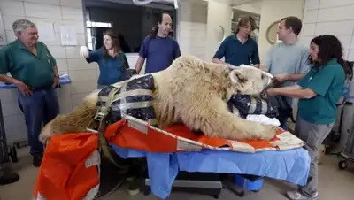 Zakon.kz, фото - Новости Zakon.kz от 28.12.2014 01:25