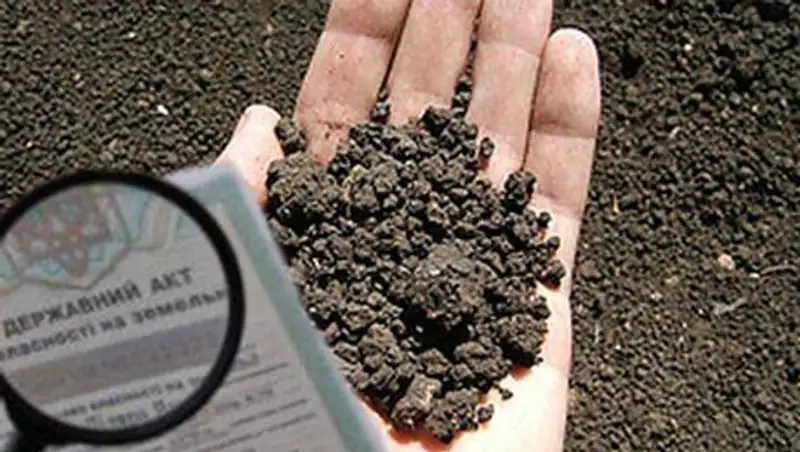 Новую схему мошенничества раскрыли прокуроры ЮКО