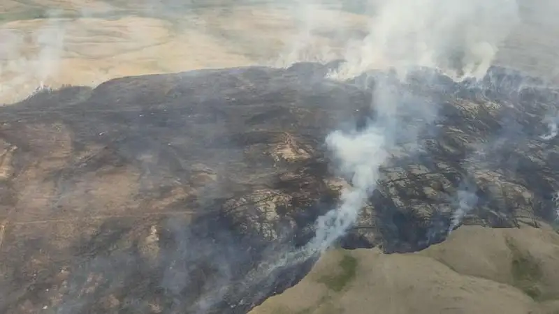 Спасатели локализовали пожар в Баянаульском национальном парке