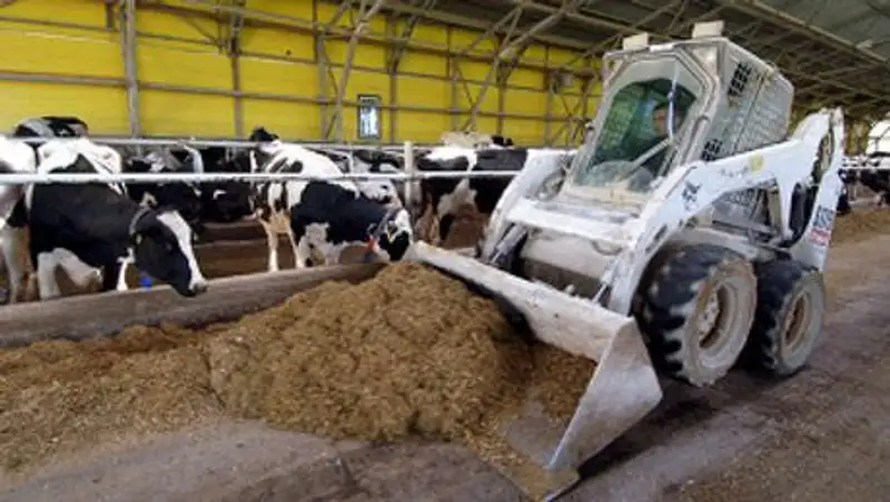 Пятнадцать тонн сена сгорело на ферме в Акмолинской области