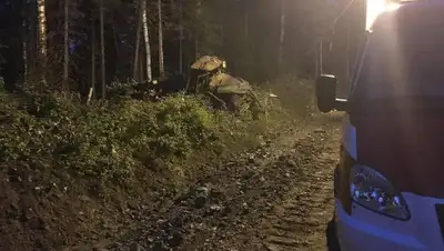 Пресс-служба ГУ МЧС по Свердловской области, фото - Новости Zakon.kz от 07.07.2019 11:31