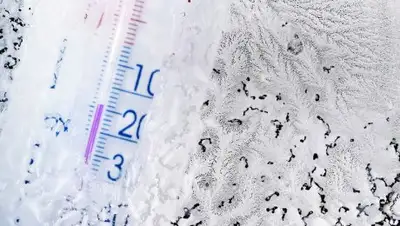 Zakon.kz, фото - Новости Zakon.kz от 13.02.2017 12:13