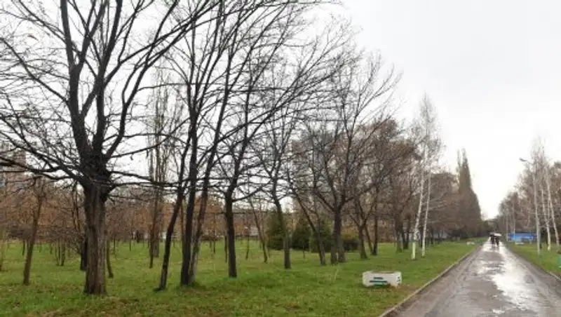 Государству вернут участок в парке «Южный»