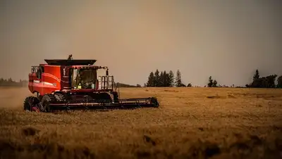 льготный лизинг сельхозтехники в Казахстане, сколько выделят на программу, фото - Новости Zakon.kz от 28.07.2022 12:26
