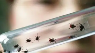 Zakon.kz, фото - Новости Zakon.kz от 20.05.2017 04:35