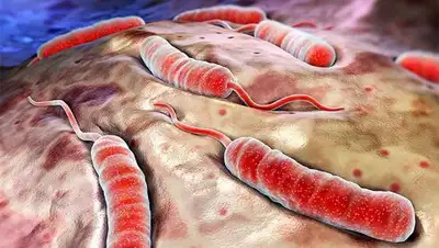 Сайт Здоровья, фото - Новости Zakon.kz от 23.12.2017 00:06