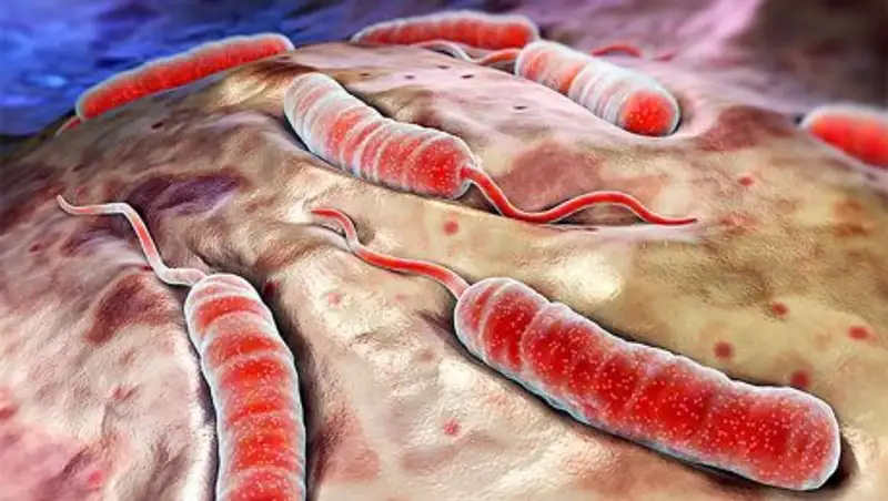 В Алматы зафиксировали 5 случаев заражения холерой в ноябре