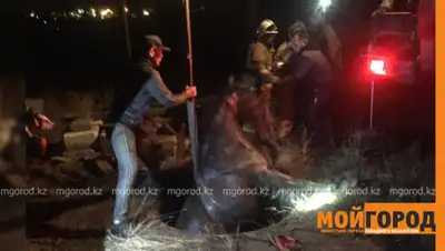 mgorod.kz, фото - Новости Zakon.kz от 16.10.2019 00:48