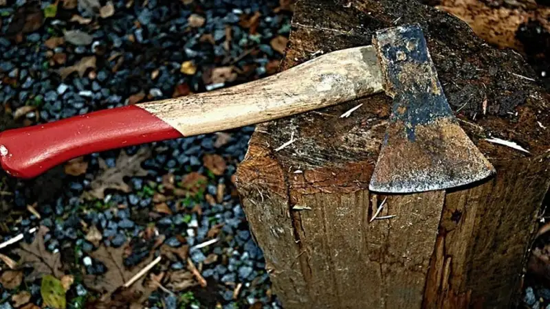 Алматинец зарубил любовника супруги – появились новые подробности