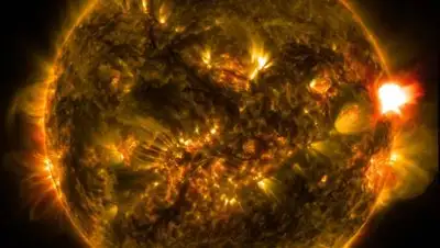 PxHere, фото - Новости Zakon.kz от 28.08.2021 20:45