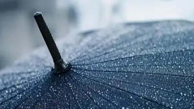 Zakon.kz, фото - Новости Zakon.kz от 30.04.2017 12:00