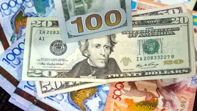 7kun.kz, фото - Новости Zakon.kz от 10.10.2019 12:14