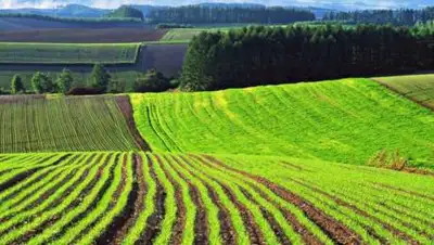 ia-centr.ru, фото - Новости Zakon.kz от 14.04.2021 10:50