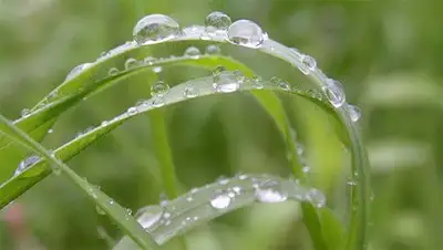 Zakon.kz, фото - Новости Zakon.kz от 04.02.2014 15:59