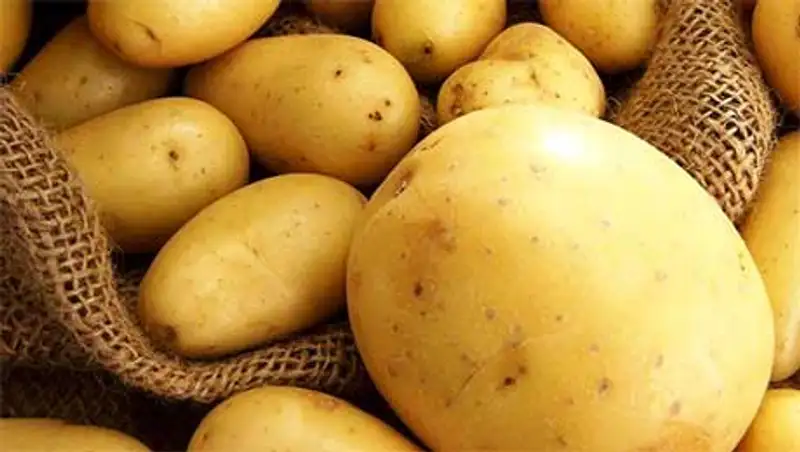 В Акмолинской области самые низкие цены на картофель