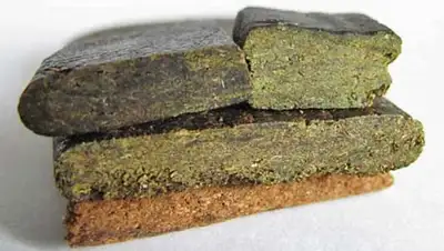 Zakon.kz, фото - Новости Zakon.kz от 14.09.2015 18:27