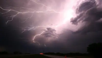 Pixabay, фото - Новости Zakon.kz от 31.05.2020 16:41