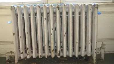 mirtesen.ru, фото - Новости Zakon.kz от 07.12.2018 18:55