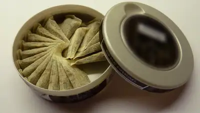 click-or-die.ru, фото - Новости Zakon.kz от 21.01.2020 23:58