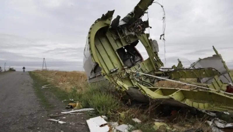 СМИ: Нидерланды опубликуют технический отчет о крушении Boeing на Украине в октябре