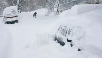 Zakon.kz, фото - Новости Zakon.kz от 26.02.2015 02:10