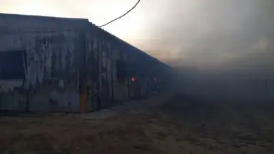 КЧС МВД РК, фото - Новости Zakon.kz от 03.03.2018 11:03