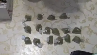 скриншот из видео, фото - Новости Zakon.kz от 28.08.2021 12:29