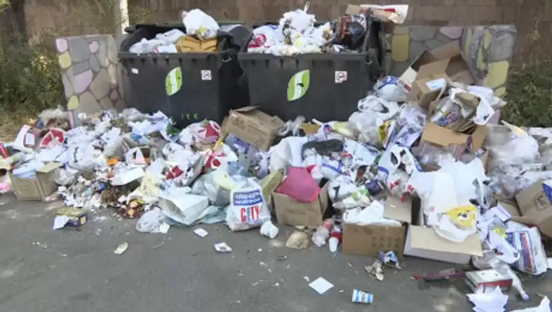 Накопившийся в Казахстане мусор мог бы поместиться на 42 футбольных полях