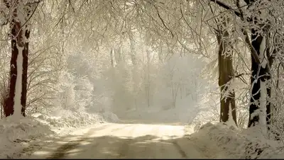 Zakon.kz, фото - Новости Zakon.kz от 25.01.2015 15:03