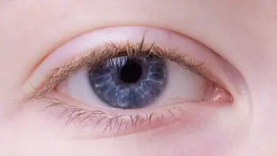 Pixabay, фото - Новости Zakon.kz от 06.04.2019 14:00