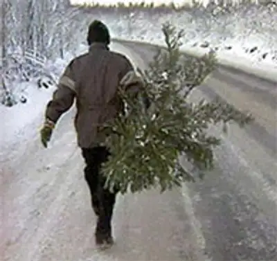 Zakon.kz, фото - Новости Zakon.kz от 07.12.2011 16:14