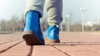 Zakon.kz, фото - Новости Zakon.kz от 08.10.2016 19:07