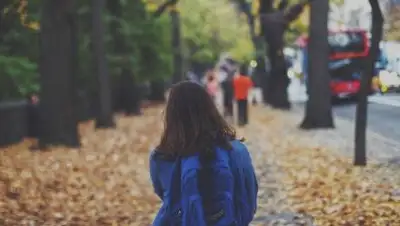 pixabay, фото - Новости Zakon.kz от 02.11.2021 21:46