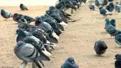 Zakon.kz, фото - Новости Zakon.kz от 13.10.2016 17:03