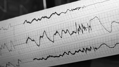 из открытых источников, фото - Новости Zakon.kz от 23.07.2018 10:00