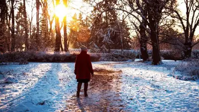 зима, солнце , фото - Новости Zakon.kz от 24.01.2022 11:52