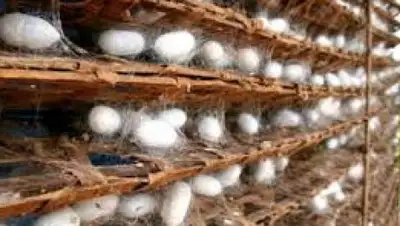 Zakon.kz, фото - Новости Zakon.kz от 14.06.2016 20:42