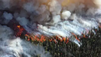 ИА Regnum, фото - Новости Zakon.kz от 05.04.2019 15:42