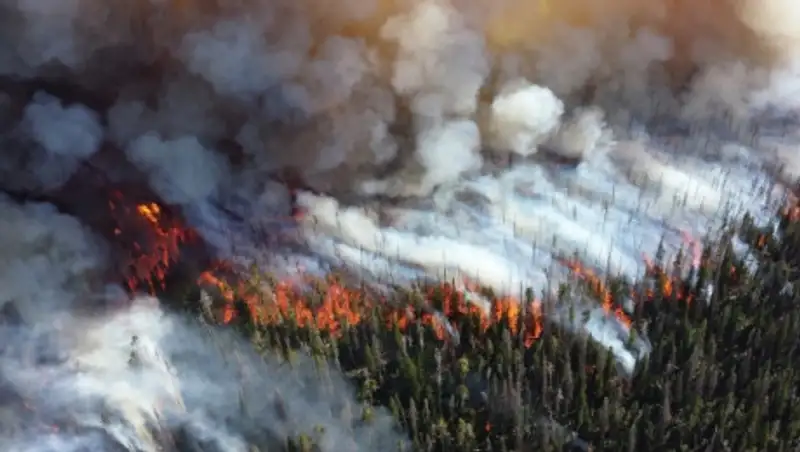 В Южной Корее объявили чрезвычайное положение из-за лесных пожаров