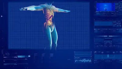 pixabay.com, фото - Новости Zakon.kz от 19.06.2019 20:43