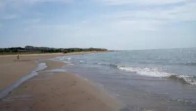 Zakon.kz, фото - Новости Zakon.kz от 14.08.2017 20:46