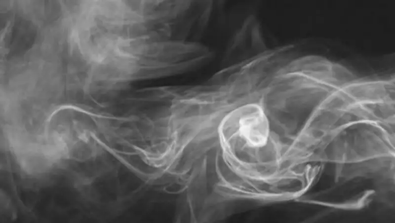 В Шымкенте от отравления угарным газом погибли девушка и мама с младенцем