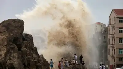 Zakon.kz, фото - Новости Zakon.kz от 25.08.2015 18:16