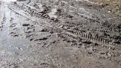 novoston.com, фото - Новости Zakon.kz от 12.02.2020 12:39